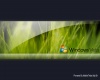 Vista-1